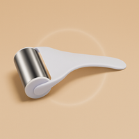 Facial Ice Roller